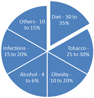cancer-diagram-percentange 
